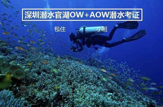 家园卡拉克沙漠